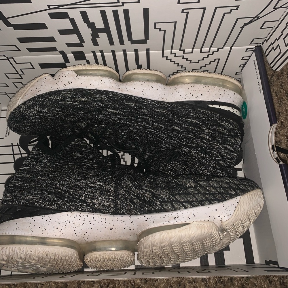 LeBron 15 ashes